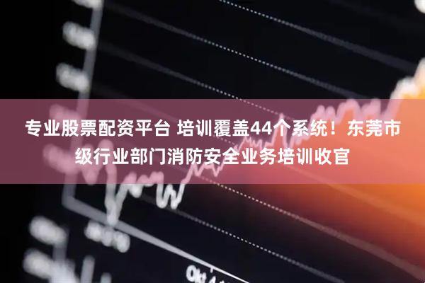 专业股票配资平台 培训覆盖44个系统！东莞市级行业部门消防安全业务培训收官