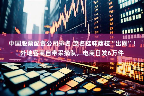 中国股票配资公司排名 茂名桂味荔枝“出圈”!外地客商自带采摘队,电商日发6万件