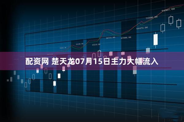 配资网 楚天龙07月15日主力大幅流入